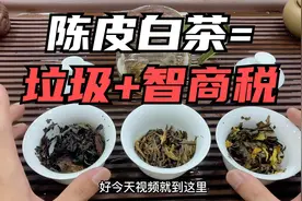 陈皮白茶，福鼎白茶中最差的茶叶，喝完感觉：妥妥的智商税！视频封面