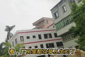 东莞这家工厂也倒闭了，曾经在这里有点名气，百分之九十都是女孩视频封面