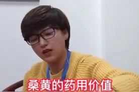 桑黄药用价值，知道好处多视频封面