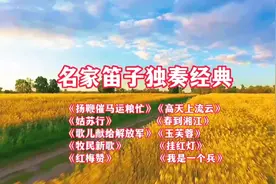 名家笛子独奏十大经典 清脆悠扬悦耳 大师风范  余音绕梁三日不绝视频封面