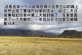 坚决执行政府的决定，呆在家里14天不出门，吹吹解解闷视频封面
