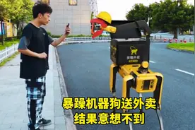 暴躁机器狗送外卖，结果意想不到！视频封面