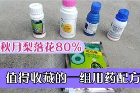 秋月梨落花80%时，如何用药，快把这个配方收藏起来
