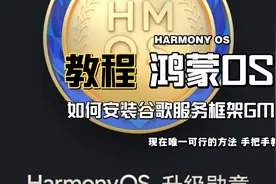 【爱国者捣蛋王】鸿蒙OS安装谷歌服务框架教程视频封面