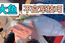钓大鱼不开口。小伙只用了一招，大鱼乖乖上钩，一起来看看吧视频封面