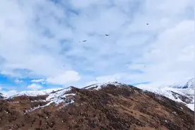 317国道 琼布丁青视频封面