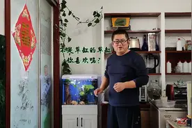 鱼缸里放绿萝，比草缸还漂亮，比硝化细菌还管用，你不试试吗？视频封面