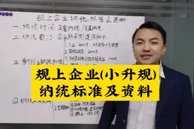 规上企业(小升规)纳统标准及资料，还有奖励视频封面