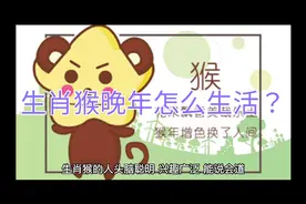生肖猴晚年怎么生活？视频封面