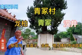 南阳邓州，青冢村，龙柏，汉井，青冢，斩龙沟，金盘子金湾的传说视频封面