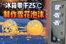 冰箱零下25℃冰冻泡泡居然制作出了雪花