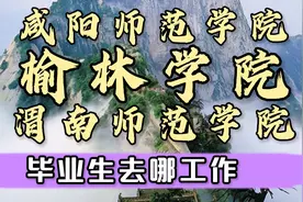 陕西高校6:渭南师范学院、榆林学院、咸阳师范学院就业解析视频封面