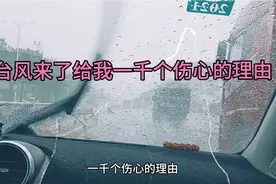 给我一千个伤心的理由视频封面