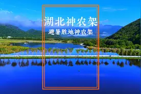 我在湖北发现一个避暑胜地-神农架，感受20度的夏天！