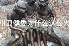 四川卫健委为什么这么火？视频封面
