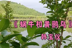 韩宝仪《蜗牛和黄鹂鸟》，传唱了几十年，时至今日仍让人感动不已视频封面