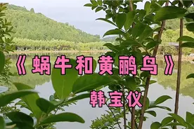 韩宝仪《蜗牛和黄鹂鸟》，传唱了几十年，时至今日仍让人感动不已视频封面