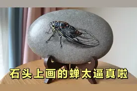 创意石头画蝉，画的活灵活现，太逼真啦视频封面