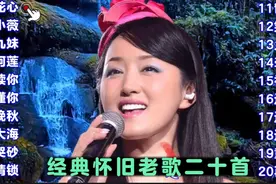 经典怀旧歌曲二十首/仿佛又回到过去美好的时光视频封面