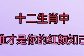 看完下面这段话，你知道十二生肖中谁才是你的红颜知己了吗。视频封面