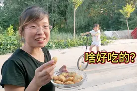 河南小两口的农村日常，简单朴素又忙碌的生活，这就是过日子！视频封面