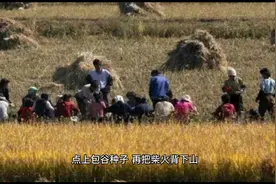 我们的知青生活——（二）在农村的生产和劳动视频封面