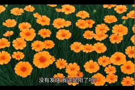 阳了不用慌随处可摘的中草药可帮助你