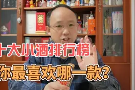 十大“小酒”排行榜，你最喜欢哪一款？视频封面