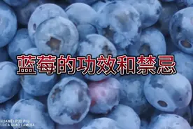 蓝莓好吃，您知道蓝莓功效和禁忌吗？视频封面