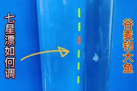 浮漂怎么调？详解谷麦钓法线组搭配和调漂技巧，让你轻松钓大鱼