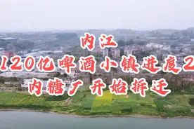 四川内江椑木120亿啤酒小镇项目进度2，内糖厂开始拆迁视频封面