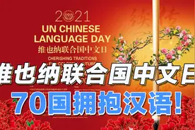 汉语国际化：维也纳中文国际日，70国搭建汉语桥！视频封面