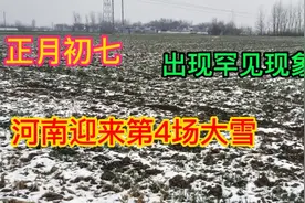 2022年正月初七，河南南阳出现罕见现象，出着太阳下着雪有啥寓意视频封面
