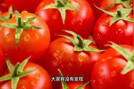 害怕激素催熟的西红柿？看蒂是青色还是红色！网友：原来我买错了视频封面