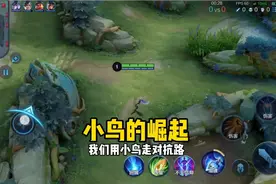 小鸟新思路玩法，你学废了吗？