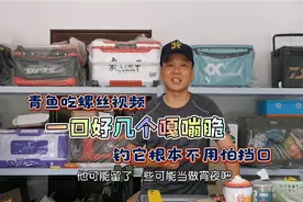 青鱼吃螺丝视频，一口好几个嘎嘣脆，钓它根本不用怕挡口视频封面