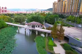 视频｜幸福与河流一起流淌！李沧：创建美丽幸福河百姓乐享生态美图片