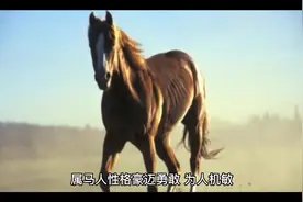 生肖马：好自为之吧！有“怪事”来袭，万年难遇视频封面