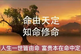 人生一世皆由命，富贵本在命中定，所以一个人的财运是早已注定视频封面