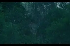 深海巨蟒视频封面