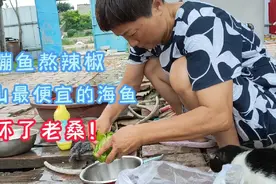 这种唐山沿海最便宜的小海鱼，把老桑馋了个七荤八素，今晚就吃它视频封面