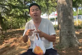 日结500一天的工作太诱人，为干活跑了300多公里，最后却流落街头视频封面