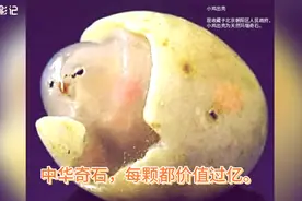 中华奇石，价值过亿。视频封面