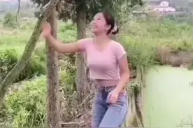 烂树根烂竹根特效药视频封面