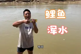 农村大哥撒网，展示河里浑水逮鲤鱼技巧，差点失手，一条鱼挺给力视频封面