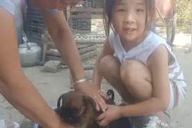 农村六岁孩子给两个多月的小狗洗澡，场面太搞笑了！视频封面