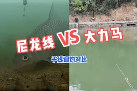 尼龙线和大力马PE子线，对信号传递究竟有多大影响？水下调钓对比视频封面