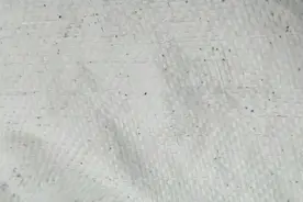 鸡螨虫鸡虱子要及时驱杀！视频封面