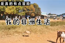 当地人劝我不要进去，但是想想里面那么多中国人，硬着头皮也要去视频封面