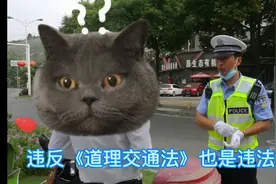 听交警小小哥讲《道路交通法》违反《道路交通法》也是违法行为视频封面